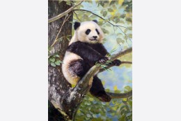 참대곰 1200x820mm