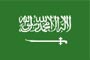 沙特阿拉伯 Saudi Arabia
